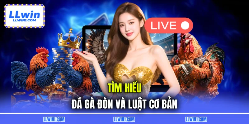 Tìm hiểu đá gà đòn và luật cơ bản
